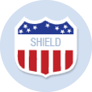 Shield Shape Hand Fan