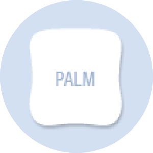 Palm Shape Hand Fan