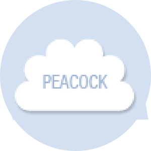 Peacock Shape Hand Fan